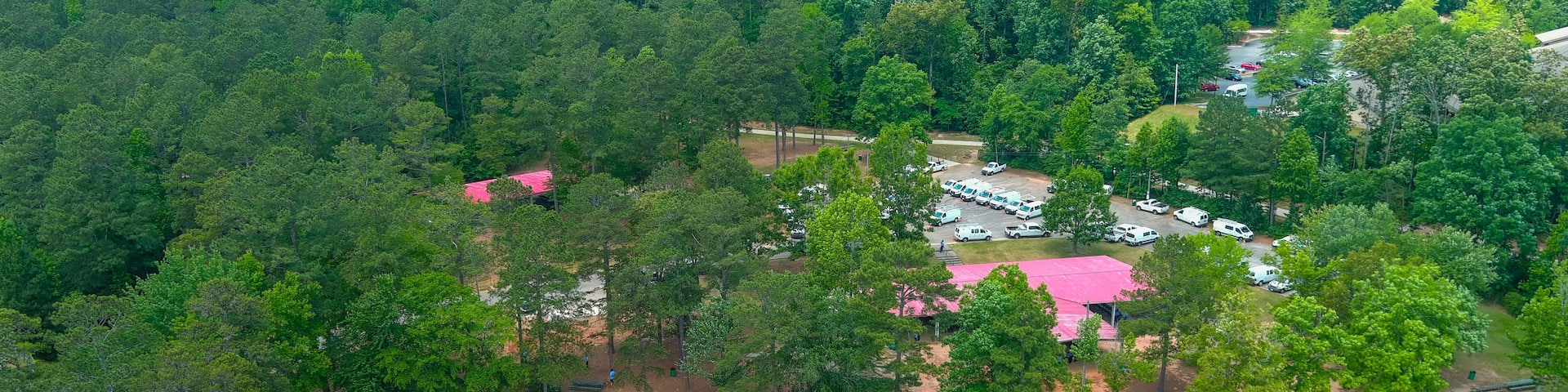 A lakeside property with a pink-roofed building surrounded by dense forest.