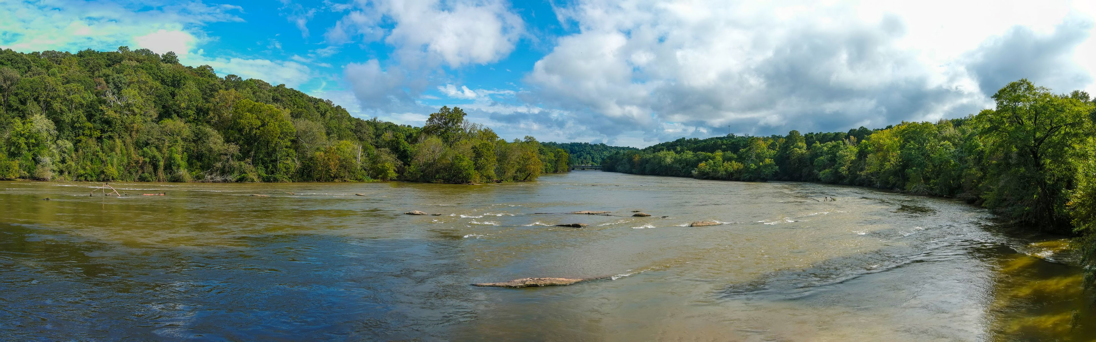 A river flowing through a forested area with a bridge in the distance.