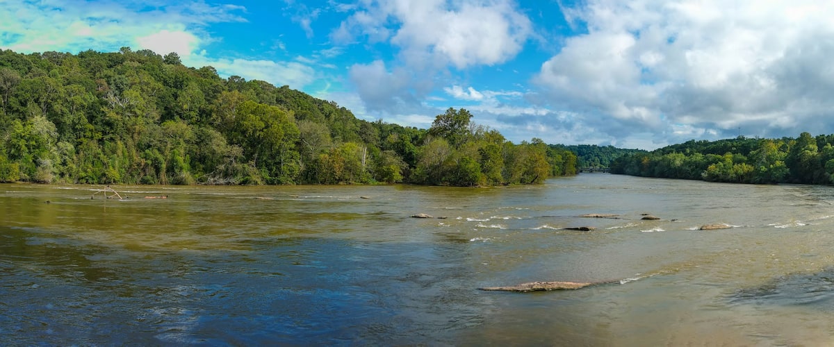 A river flowing through a forested area with a bridge in the distance.