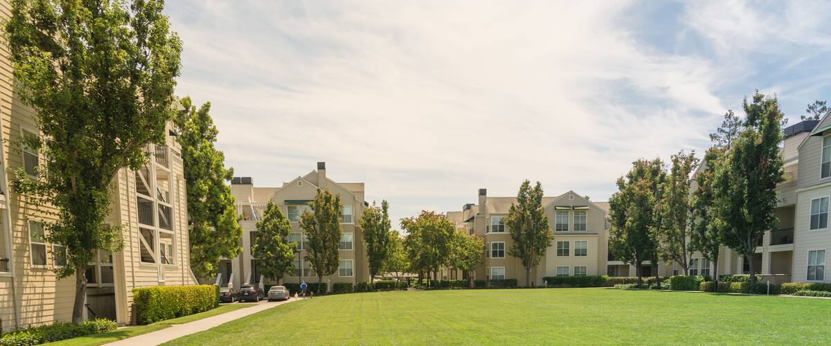 Rearview fitness, healthy man running with dogs at backyard of apartment complex in Alto, California, USA