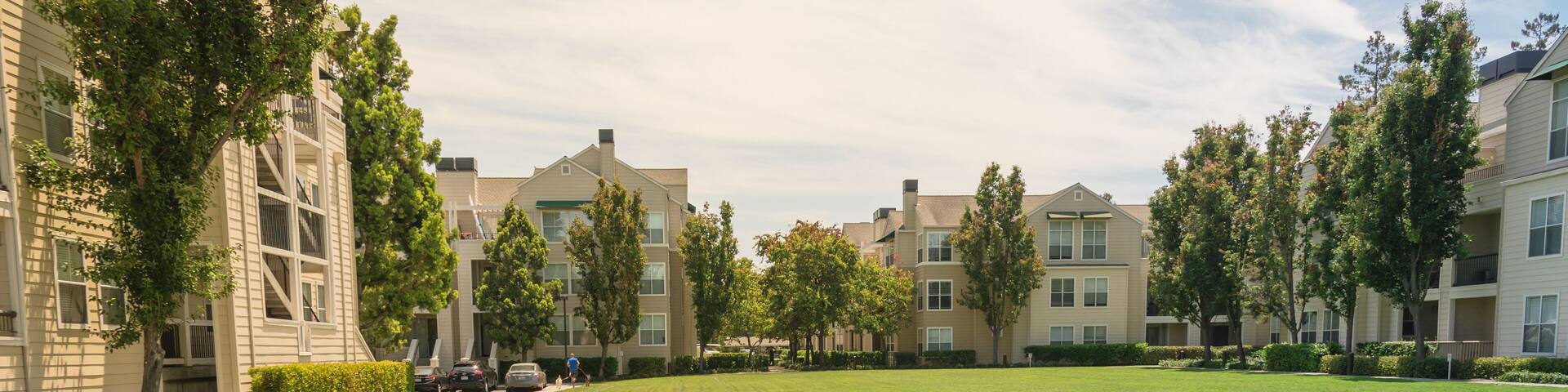 Rearview fitness, healthy man running with dogs at backyard of apartment complex in Alto, California, USA