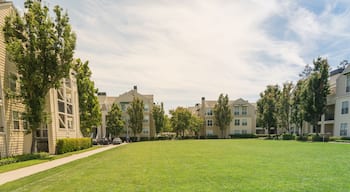 กรีน เอเคอร์ส