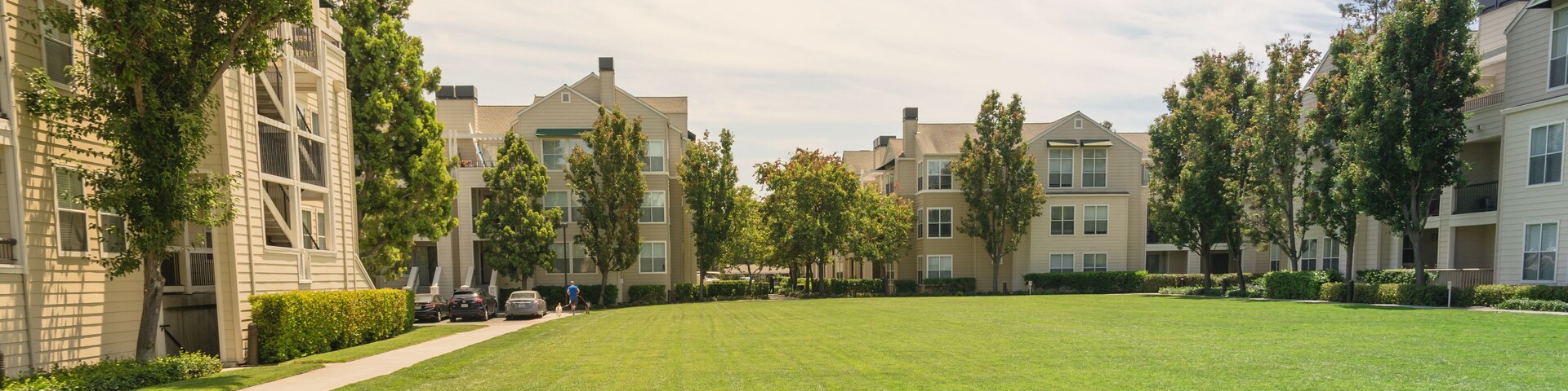 Rearview fitness, healthy man running with dogs at backyard of apartment complex in Alto, California, USA