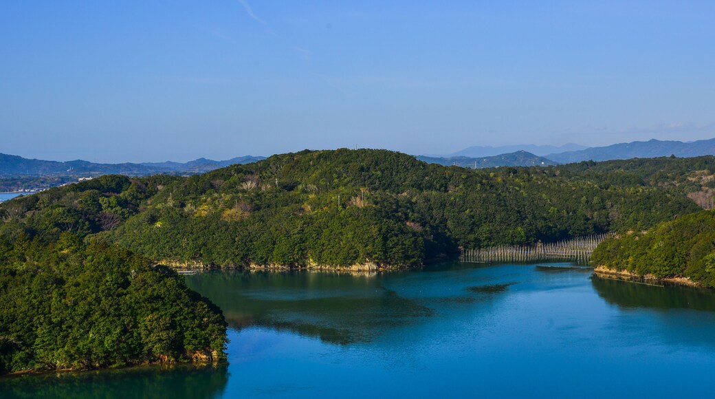 ฮาโดโคโรโช