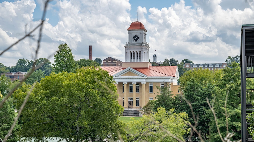 แมรีวิลล์