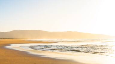 golden hour on the beach
