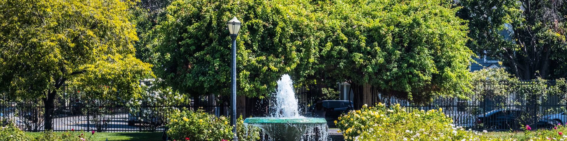 A fountain surrounded by a metal fence, with trees and flowers in the background.