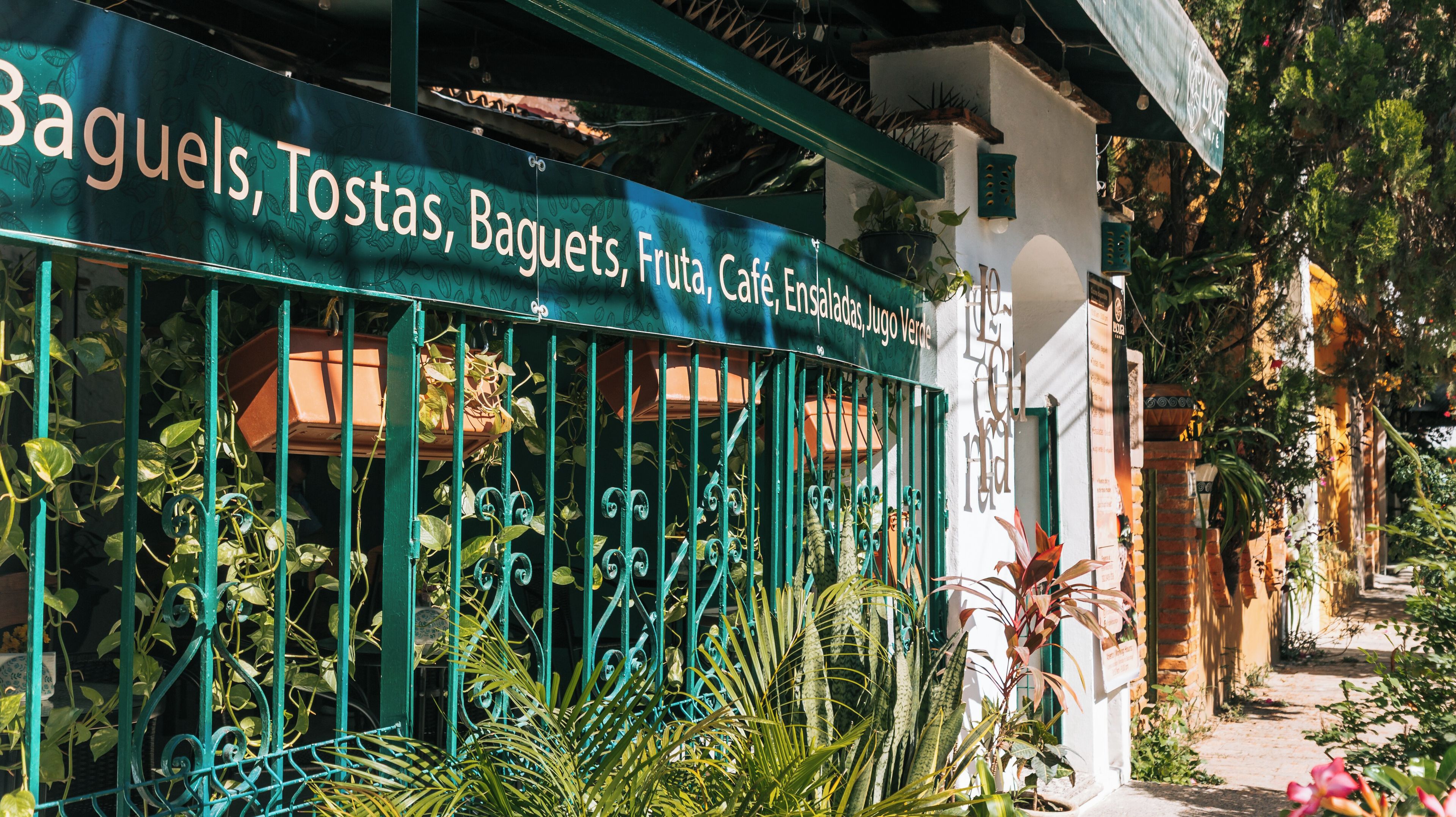 A signboard with the text 'Baguels, Tostas, Baguets, Fruta, Café Enchiladas, Lisasadas, Jugo Verde' against a green metal fence with climbing plants.