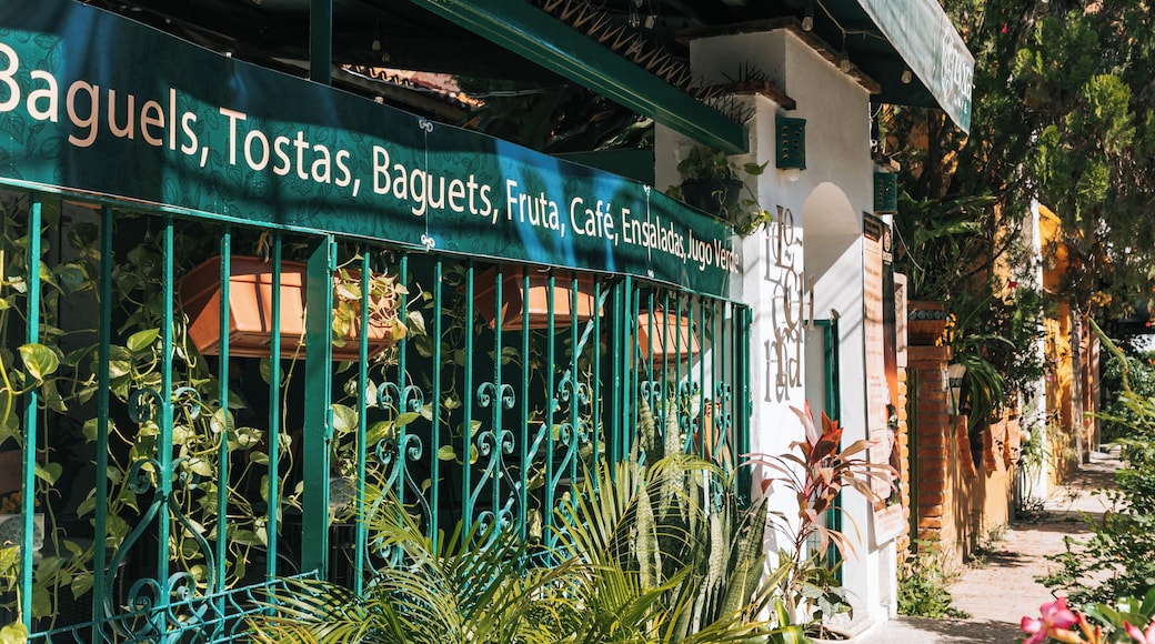 A signboard with the text 'Baguels, Tostas, Baguets, Fruta, Café Enchiladas, Lisasadas, Jugo Verde' against a green metal fence with climbing plants.