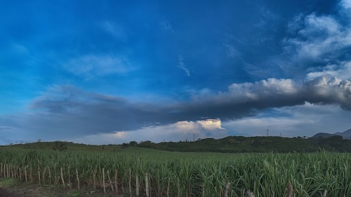 Effusive Activity in the Colima Volcano