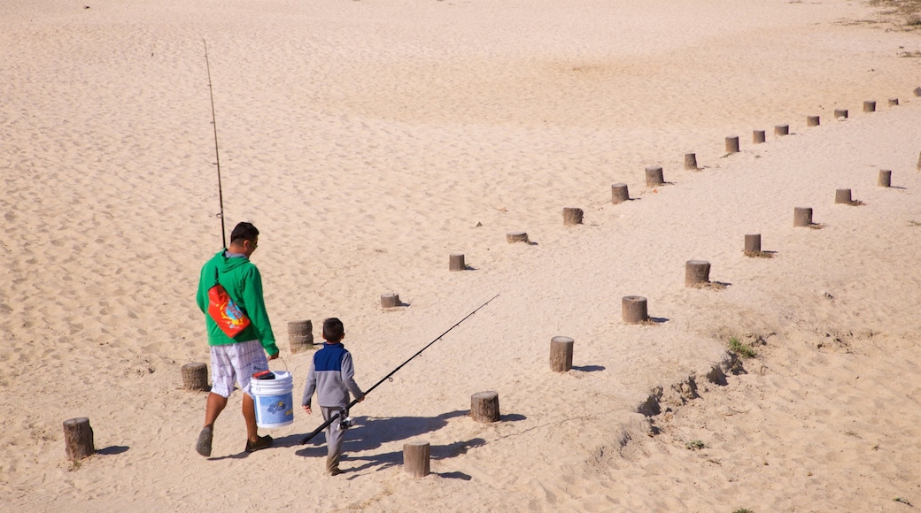 San Jose del Cabo showing fishing, a beach and general coastal views