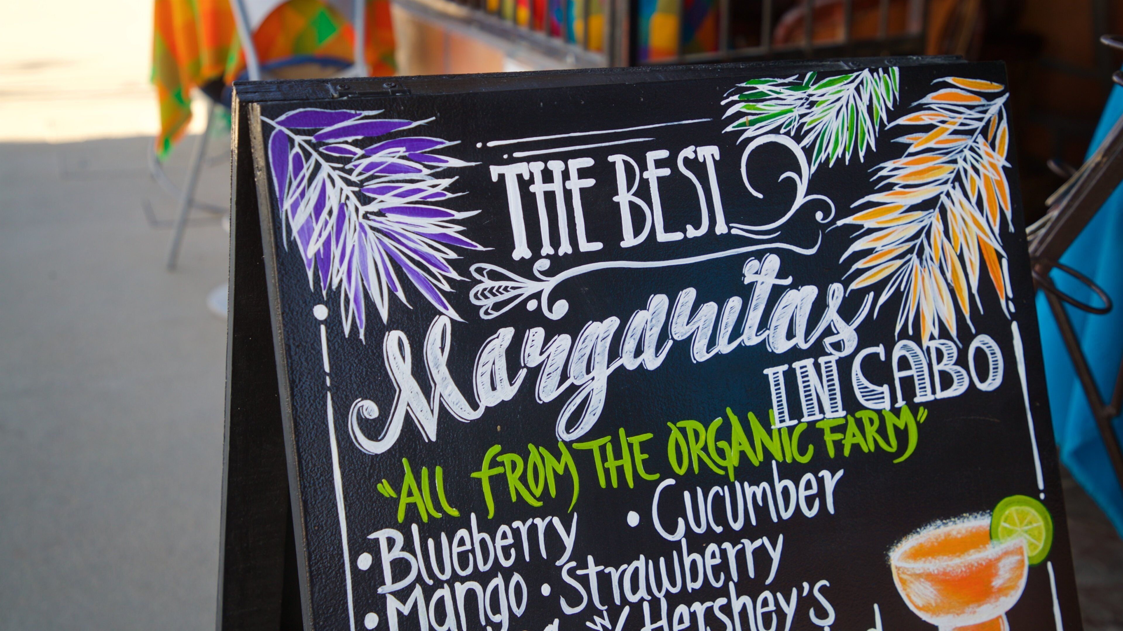 San Jose del Cabo showing signage