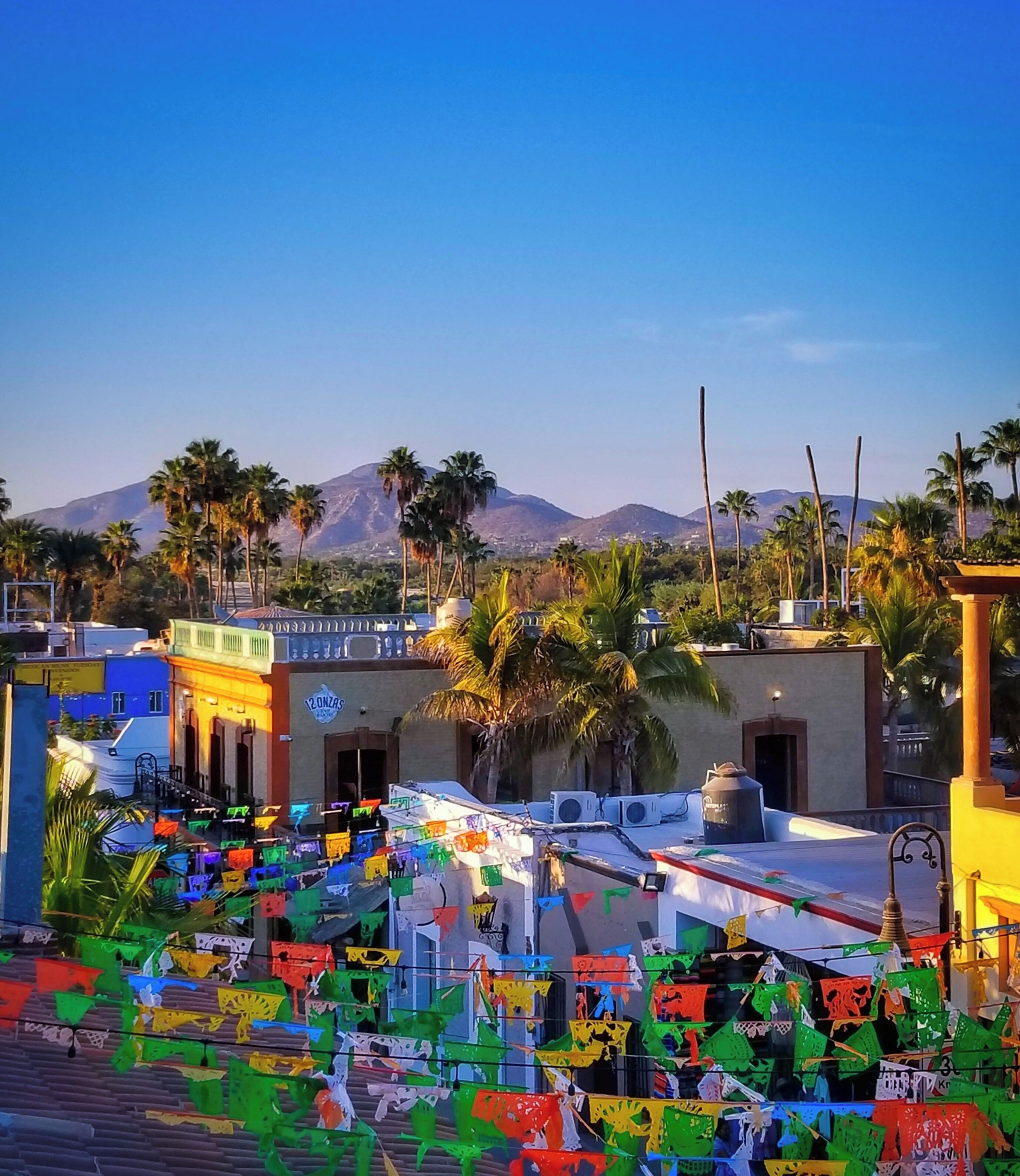 Lovely patio view in San José Del Cabo.