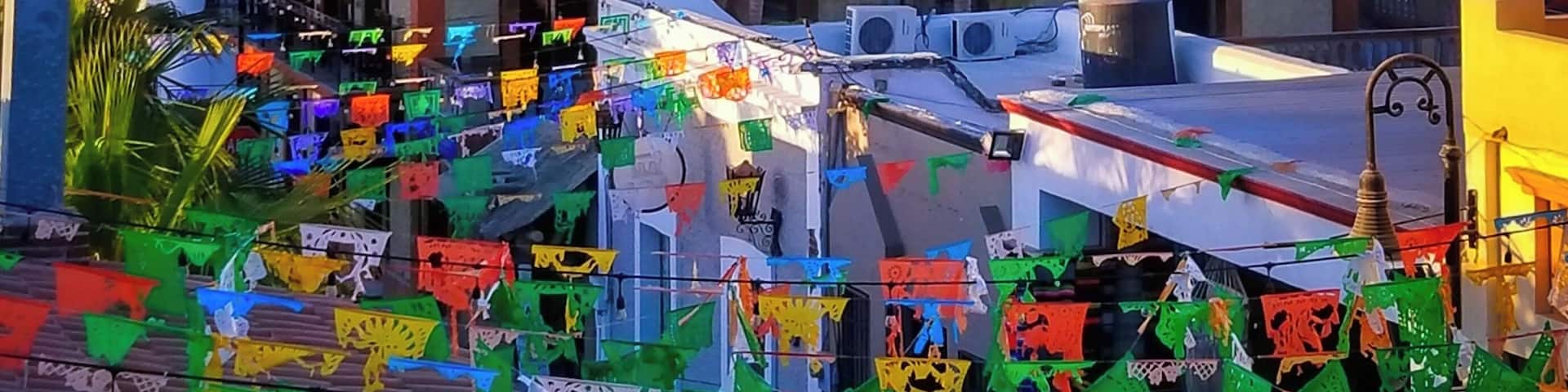 Lovely patio view in San José Del Cabo.