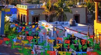 Lovely patio view in San José Del Cabo.