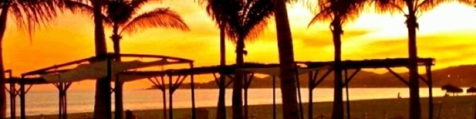 Una playa con palmeras y tumbonas al atardecer.
