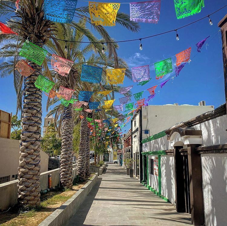 Una calle estrecha bordeada de palmeras y edificios, decorada con banderines de colores.