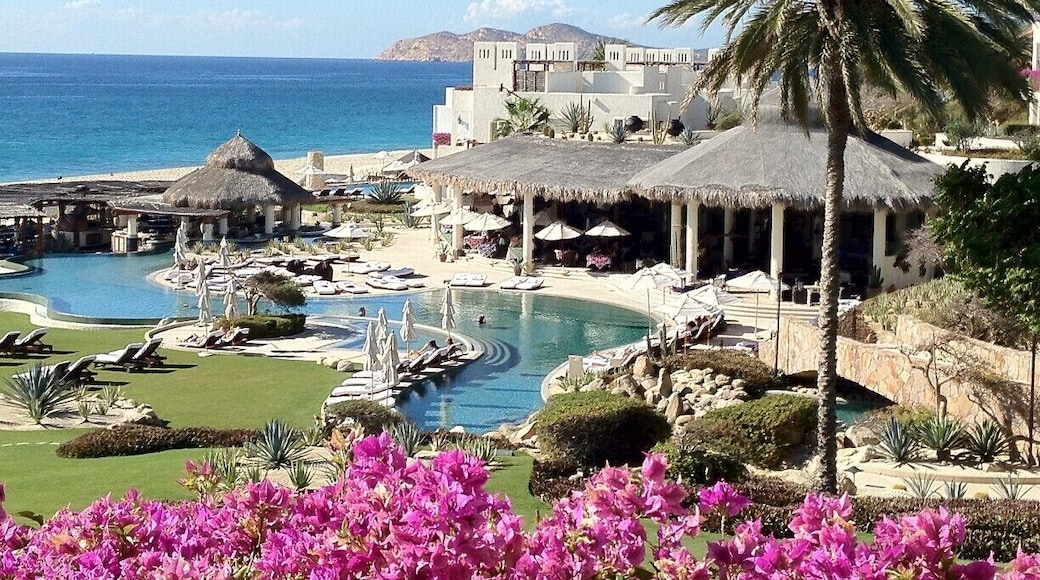 no filter, says it all.