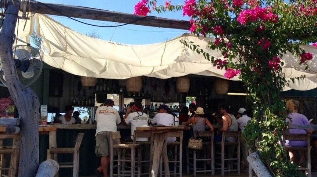 Made from 2 shipping containers, this funky salty marina bar and restaurant is a great hang after a day of landing tuna and dorado.