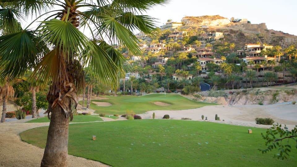Un campo de golf con una palmera en primer plano, una playa arenosa y una colina con casas al fondo.