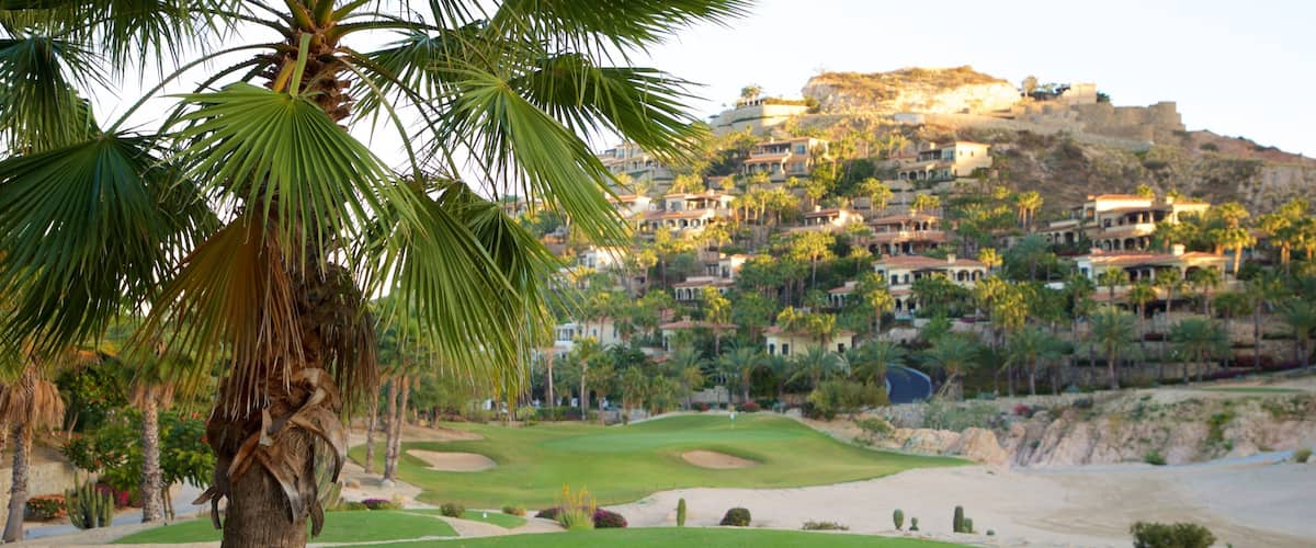 A golf course with a palm tree in the foreground, a sandy beach, and a hillside with houses in the background.