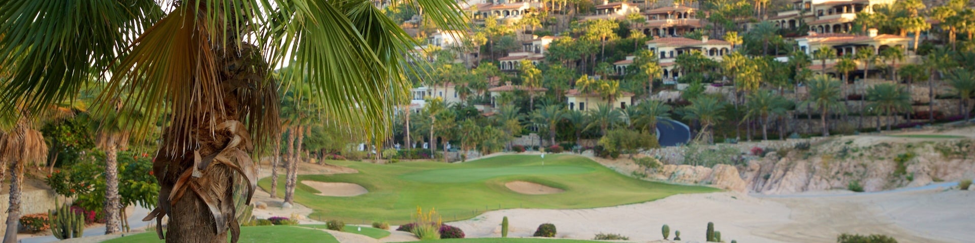 A golf course with a palm tree in the foreground, a sandy beach, and a hillside with houses in the background.