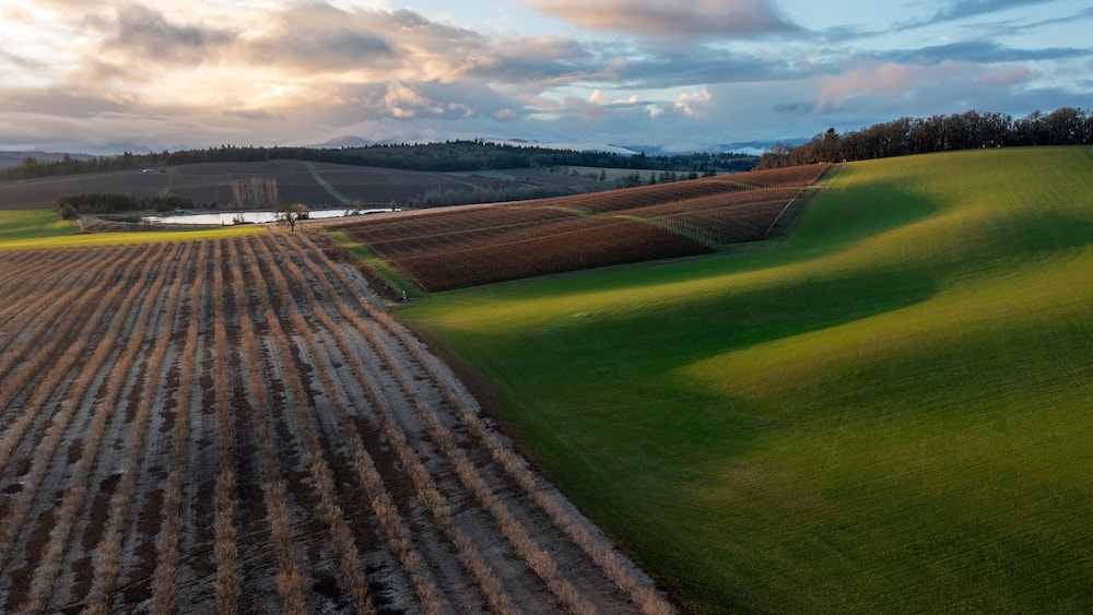 Mixed Use Agriculture Landscape in the Willamette Valley, Oregon, near Monmouth, OR, Aerial Photo - Wine/Vineyard, Grass,