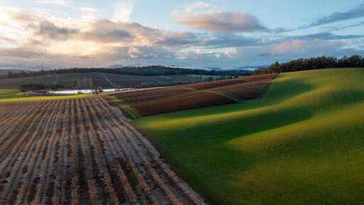 Mixed Use Agriculture Landscape in the Willamette Valley, Oregon, near Monmouth, OR, Aerial Photo - Wine/Vineyard, Grass,