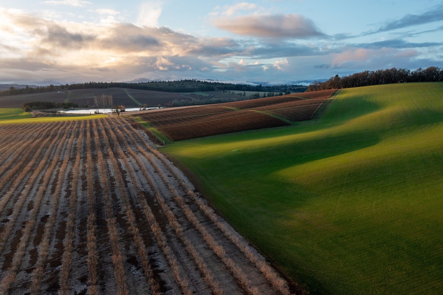 Mixed Use Agriculture Landscape in the Willamette Valley, Oregon, near Monmouth, OR, Aerial Photo - Wine/Vineyard, Grass,