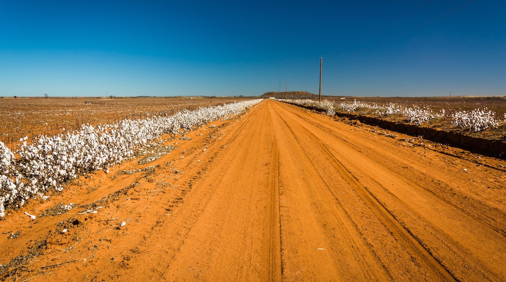 A dirt road near Memphis, Texas.