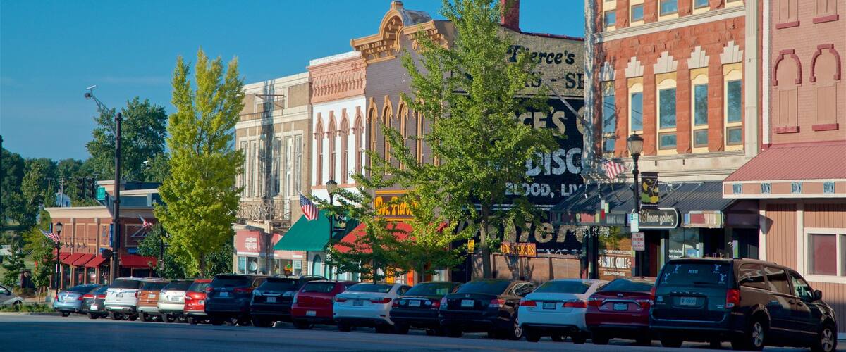 A street lined with vintage buildings, parked cars, and trees.