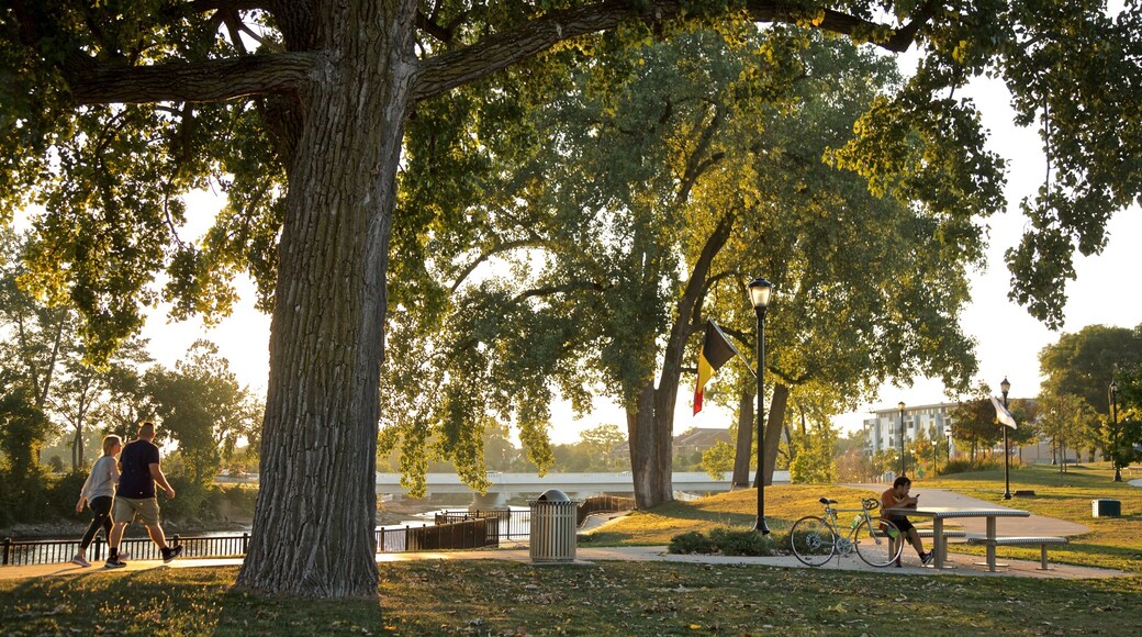 Mishawaka featuring a garden