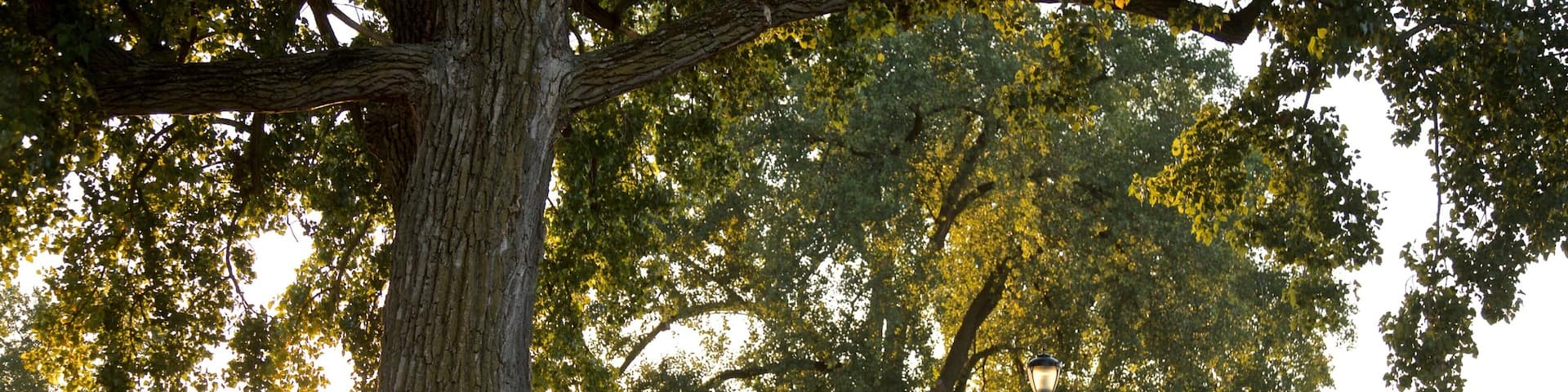 Mishawaka featuring a garden