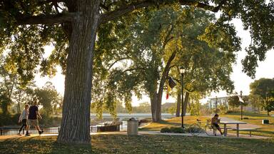 Mishawaka featuring a garden