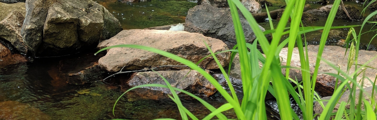 Quiet stream flowing on a trail in the park.