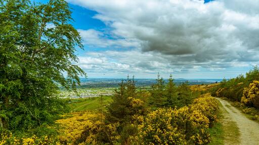 Dublin from the mountains