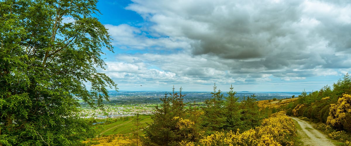 A dirt path through a landscape with yellow flowers, green trees, and a distant view of a city.
