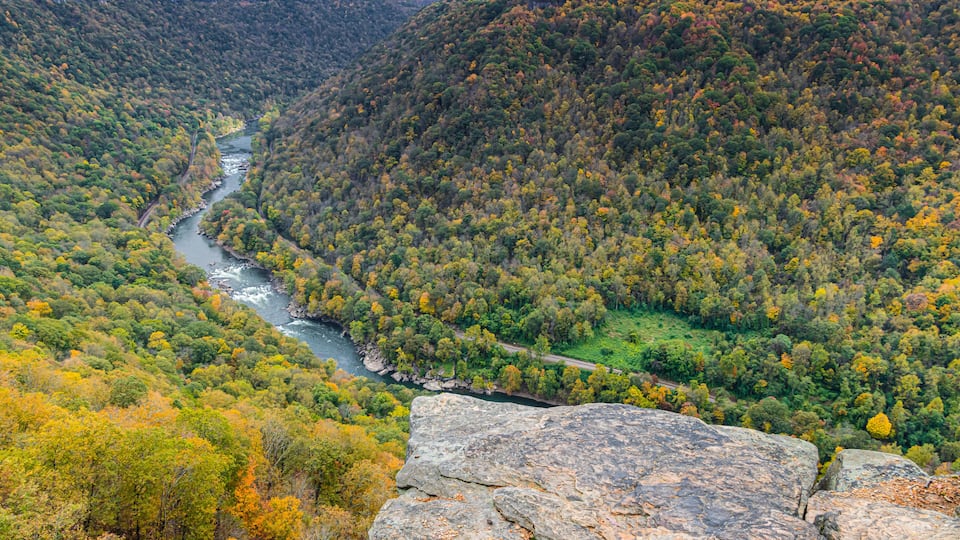 A river winding through a forested valley with autumn foliage.