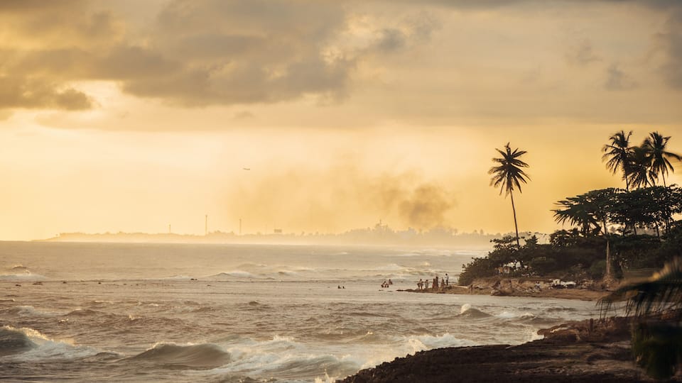 A coastal scene with waves, palm trees, and a distant city skyline at sunset.