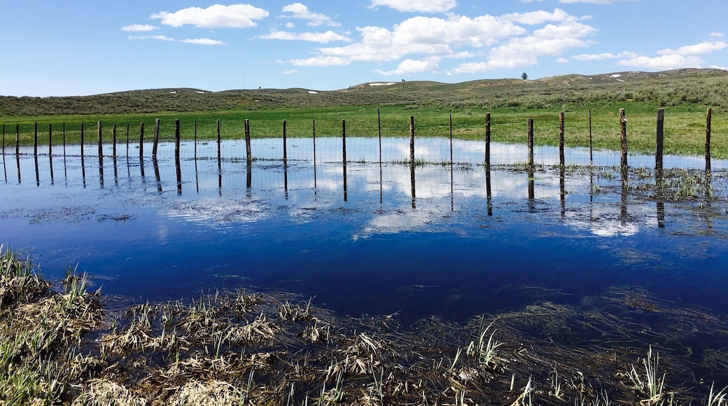 Just a little field flooding along Hwy 20