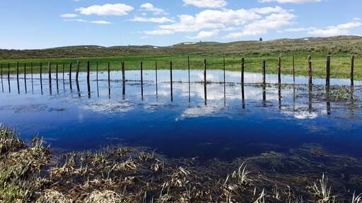 Just a little field flooding along Hwy 20