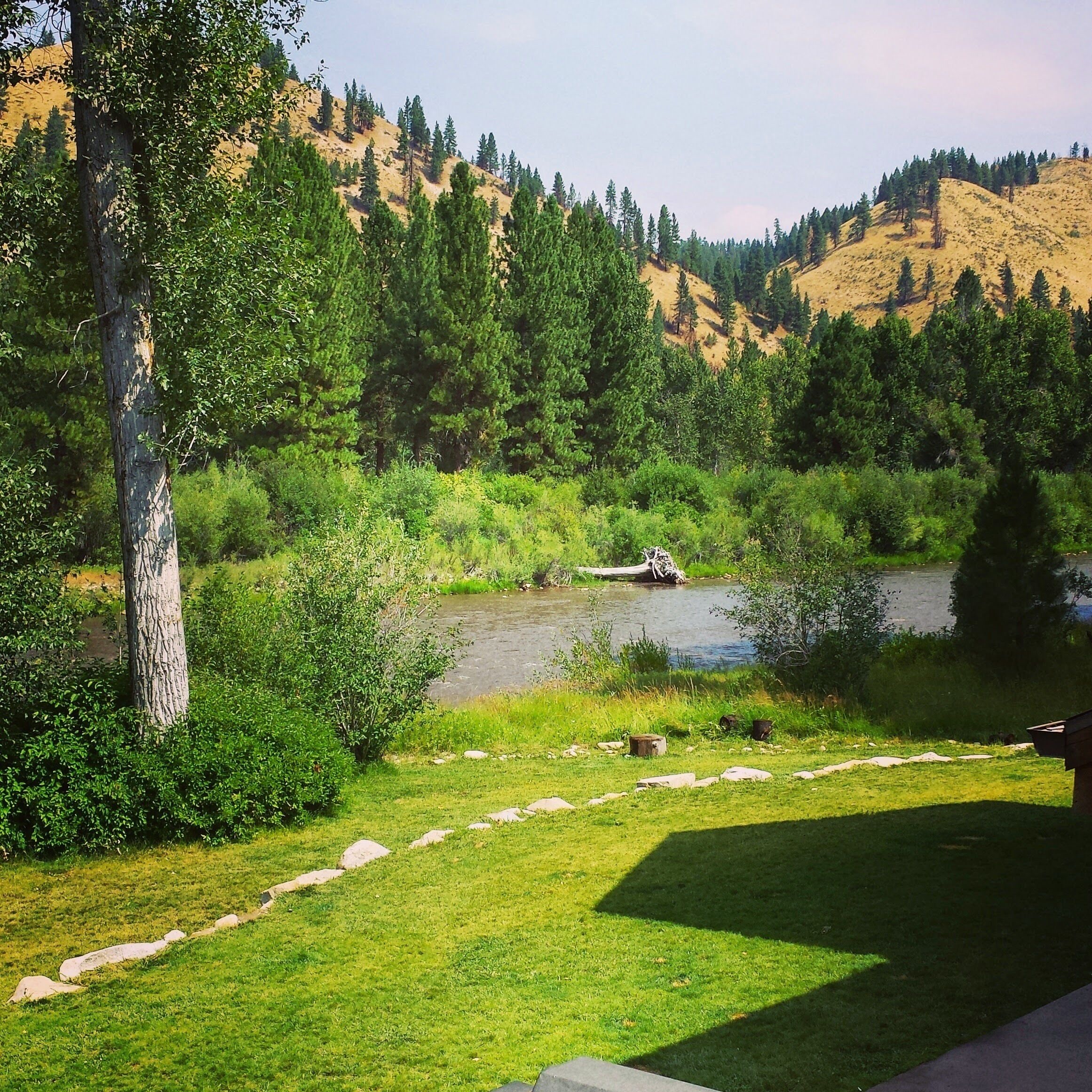 Not much out in this neck of the woods, but gosh the river was perfect for inner tubing.