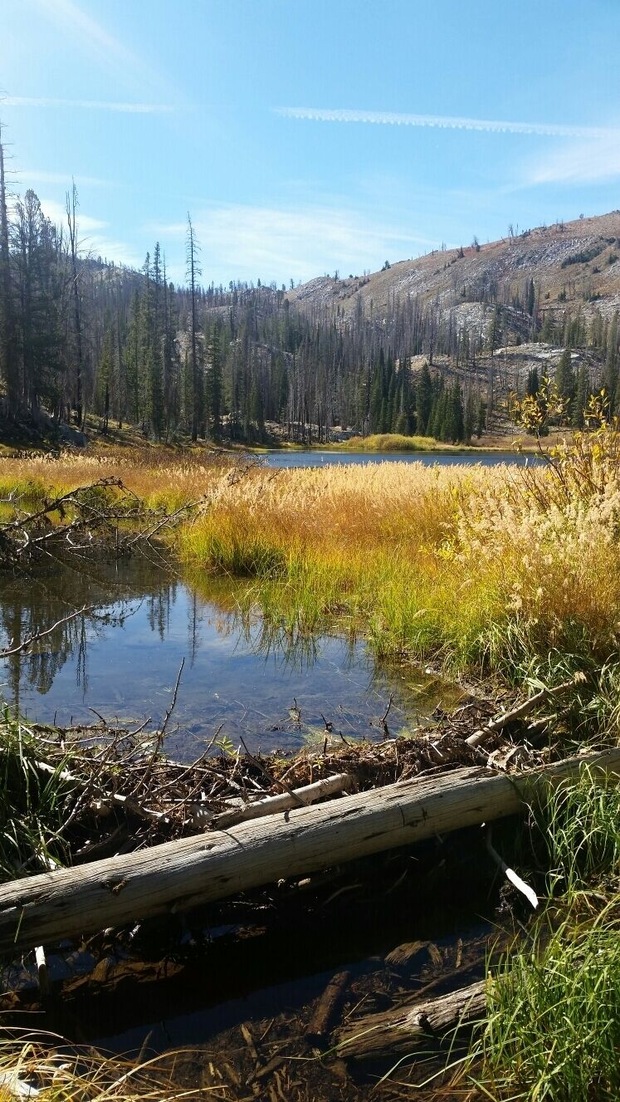 Beautiful fall weather. Nice drive up by Trinity Ridge. Little Rapid River Lake. I love Idaho!