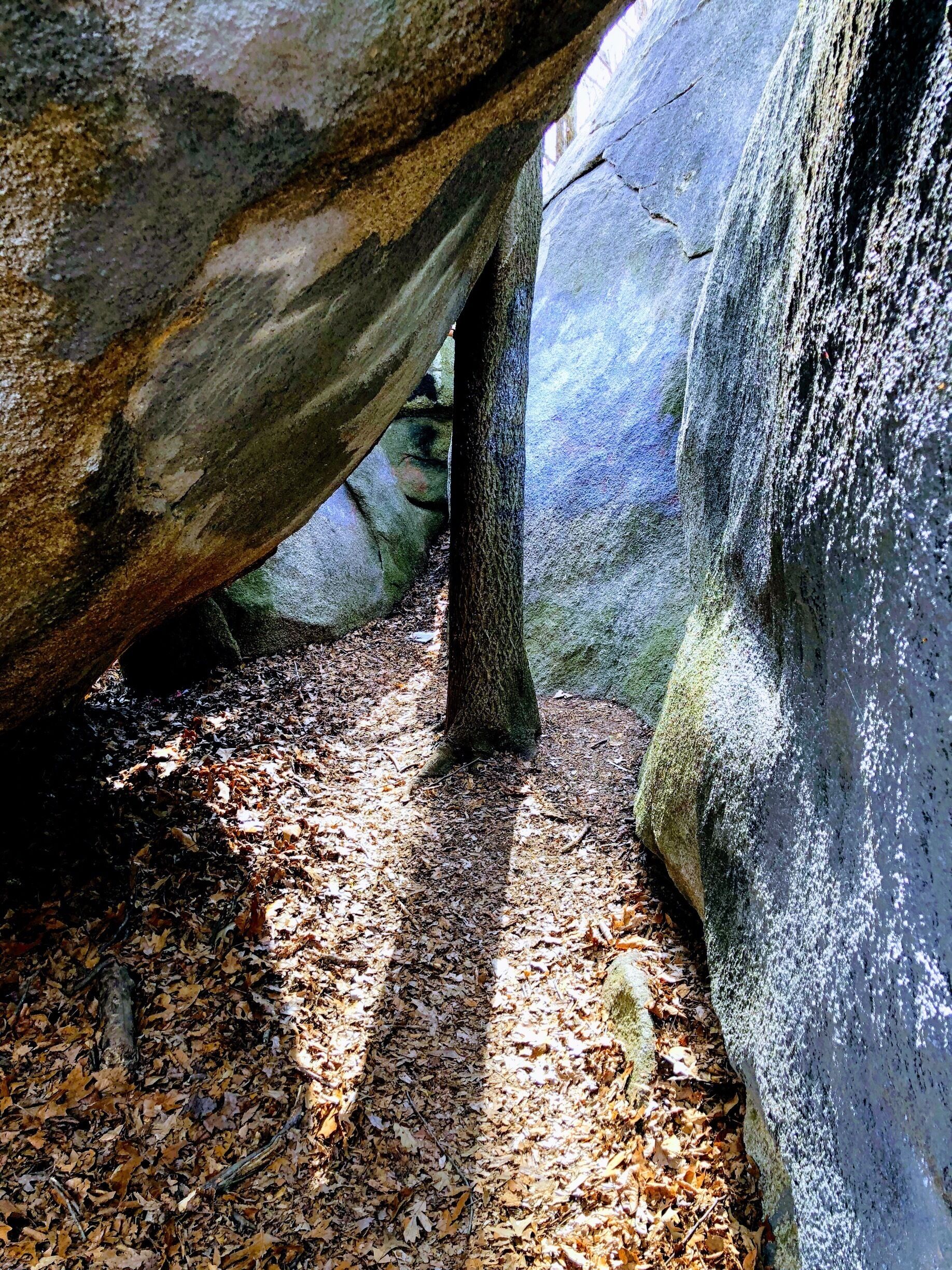 You have to walk between the giant stones to find this little place of solitude where it’s suspected a family lived over 2000 years ago