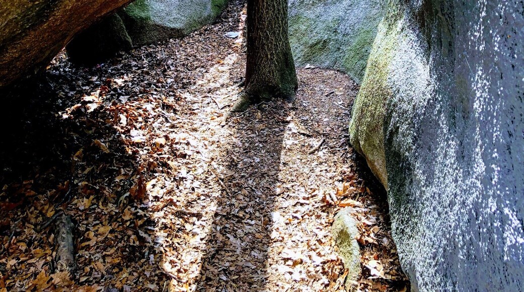 You have to walk between the giant stones to find this little place of solitude where it’s suspected a family lived over 2000 years ago
