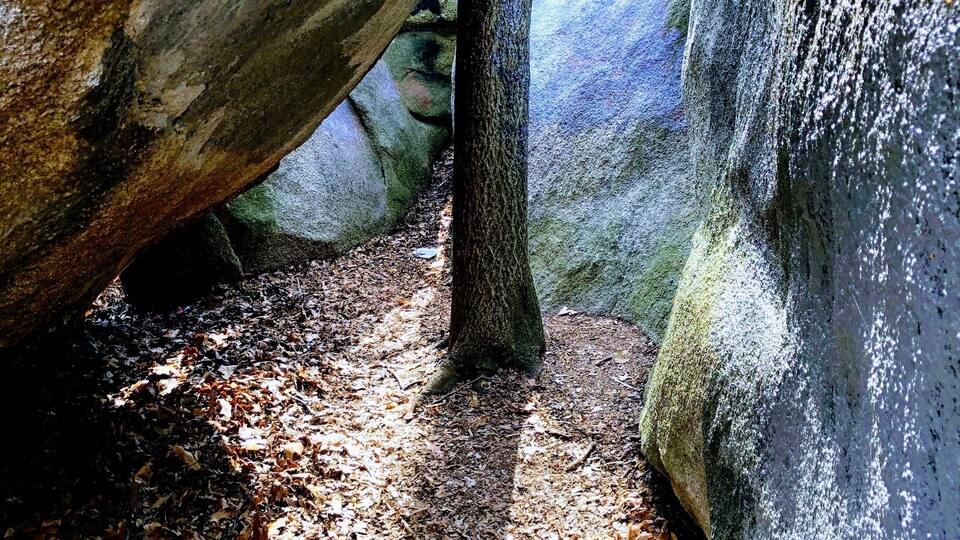 A forest path under a large rock with sunlight filtering through.