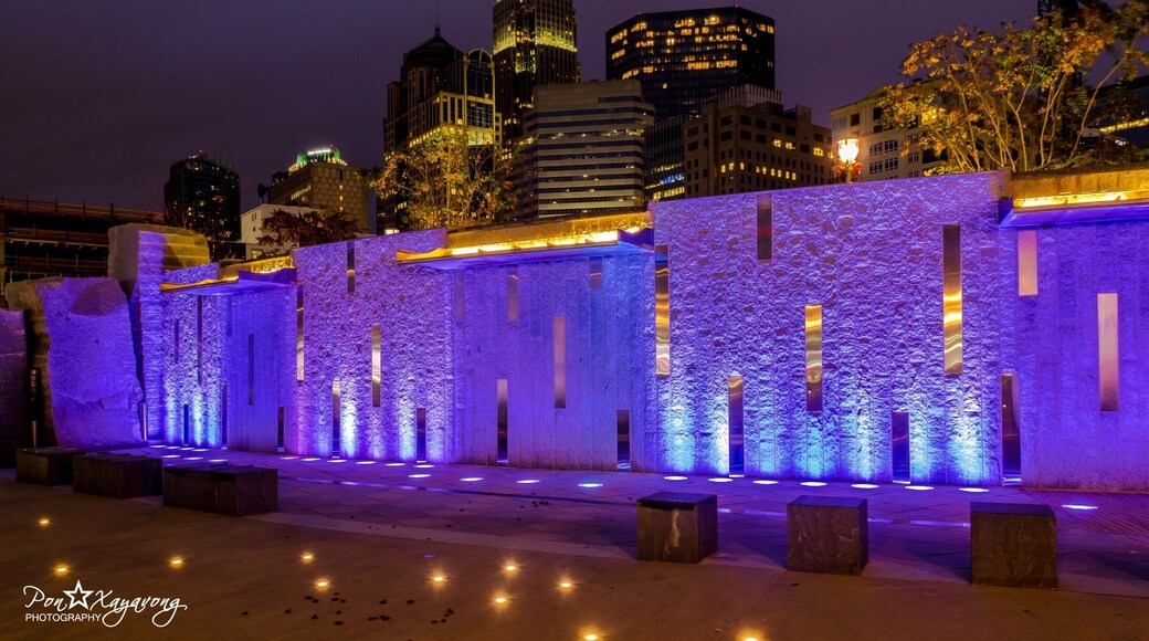 Beautiful park at downtown Charlotte at night time
