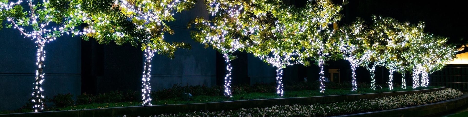 Christmas display near the Panthers stadium