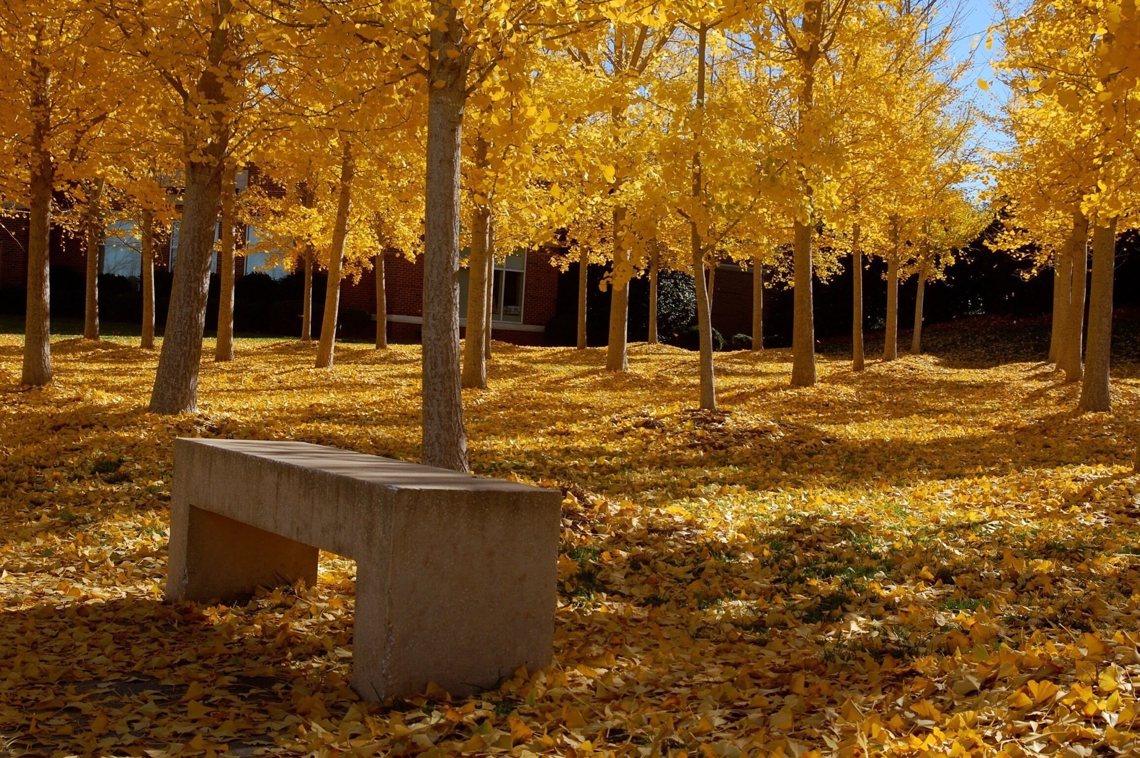 Located just behind the shopping mall. Typical early October