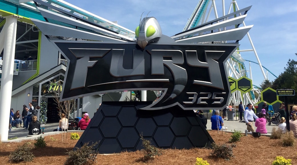 Fury 325